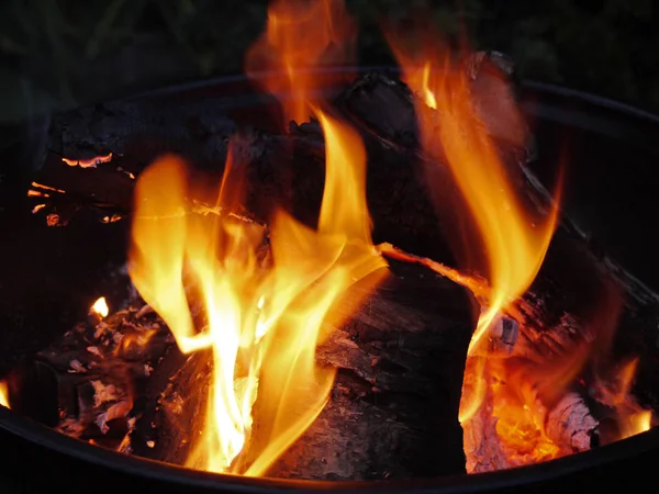 Red Fire Burning Firewood Bonfire — Stock Photo, Image