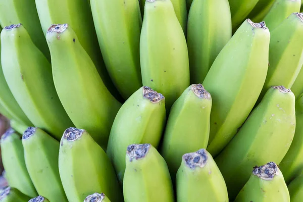 Palma Nahaufnahme Einer Bananenstaude Στο Charco Azul — Φωτογραφία Αρχείου