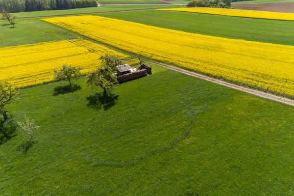 Campos Colza Vista Aérea Primavera — Fotografia de Stock