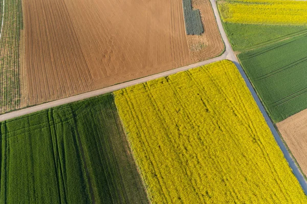 Vista Aérea Los Campos Violación Primavera — Foto de Stock