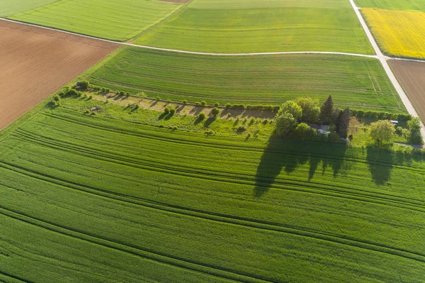 Tilldelning Mellan Fälten — Stockfoto