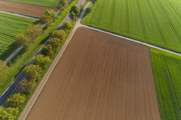 Viale Vista Aerea Bordo Campo — Foto Stock