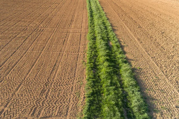 Veldscheiding Door Grasstroken — Stockfoto