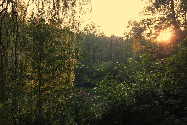 户外景致的风景如画 — 图库照片