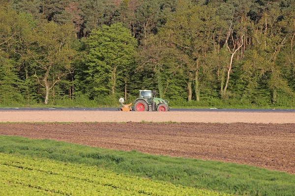 芦笋田4月份拖拉机 — 图库照片