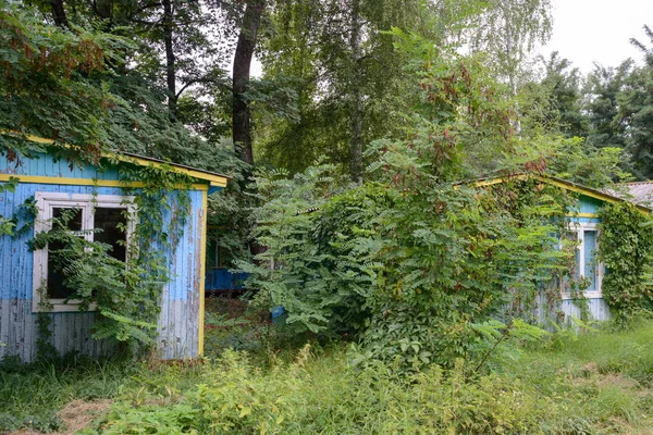 Sommige Geruïneerd Huisje Een Oekraïense Forest Buurt Van Charkov — Stockfoto