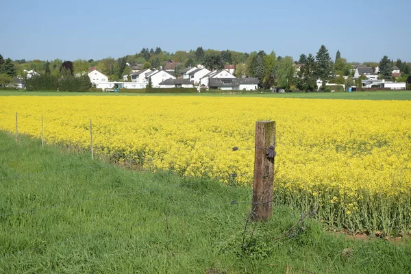 Scenic View Agriculture Selective Focus — Stock Photo, Image