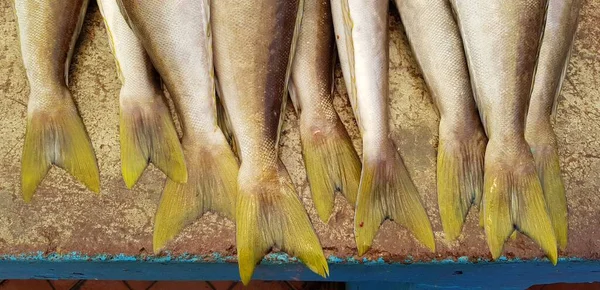 Gesehen Auf Dem Kleinen Aber Feinen Fischmarkt Puerto Ayory Santa — Stockfoto