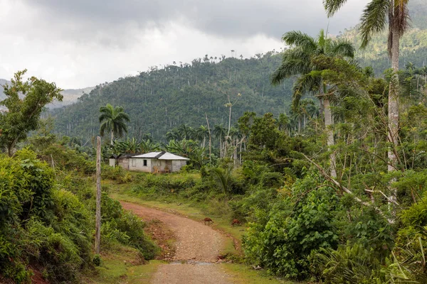 Nationalpark Alejandro Humboldt Nära Baracoa Kuba — Stockfoto