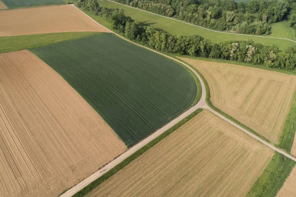 Widok Lotu Ptaka Łąk Pól Lasów Blasku — Zdjęcie stockowe