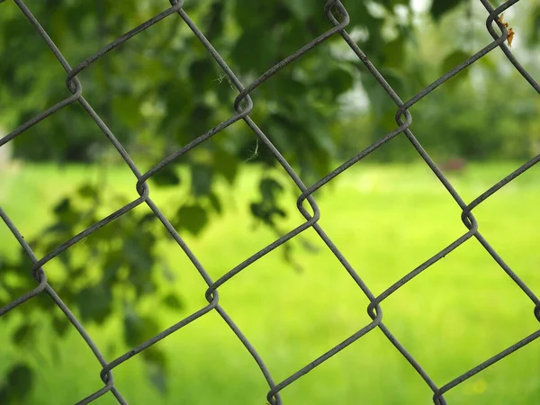 Mash Wire Staket Med Grön Bakgrund — Stockfoto