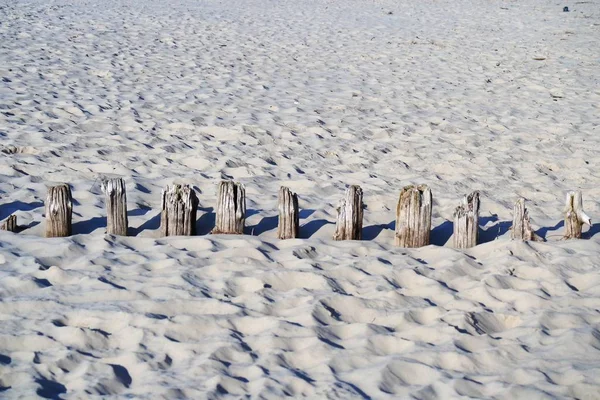 Покупка Песчаном Пляже — стоковое фото