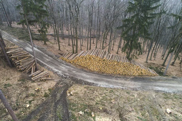 Wunderbarer Drohnenflug Mit Dem Hubschrauber Über Abgeholzten Wald Österreich März — Stockfoto