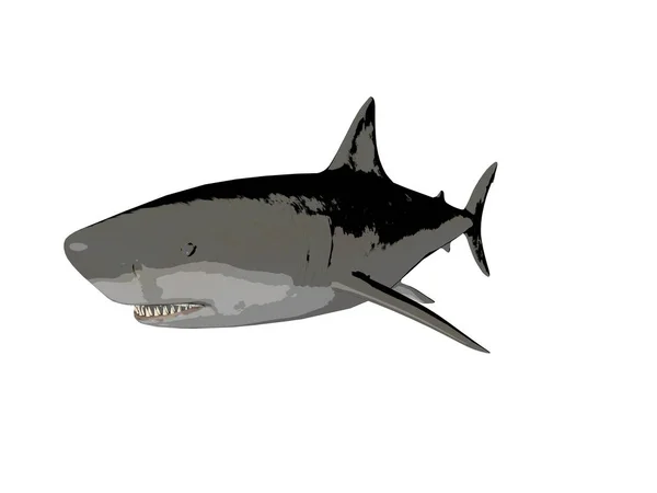 Rendering Shark Shaped Lines — Stock Photo, Image