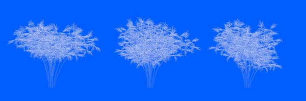 Darstellung Von Drei Bäumen Als Linien Auf Blauem Hintergrund — Stockfoto
