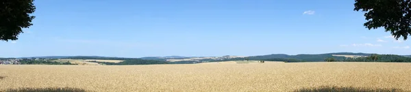 Maisfelder Der Meile — Stockfoto