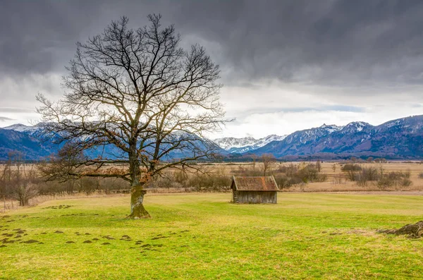 Murnauer Moos Moeras Beieren Duitsland — Stockfoto