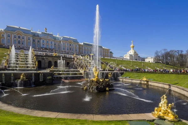 Samson Fountain Grand Peterhof Palace San Petersburgo Rusia — Foto de Stock