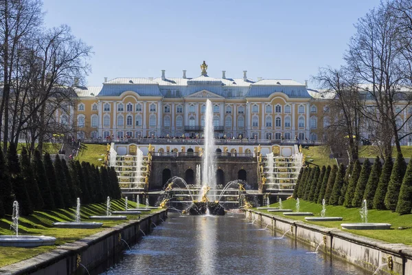 Samson Fountain Grand Peterhof Palace San Petersburgo Rusia — Foto de Stock