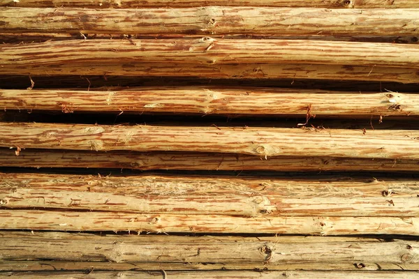 Holzstapel Rinde — Stockfoto