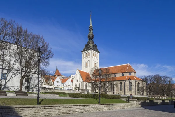 Tallinn Iglesia Estonia Nikolas — Foto de Stock