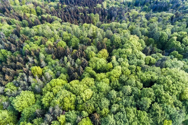 Flygfoto Markgrningen Distriktet Ludwigsburg — Stockfoto