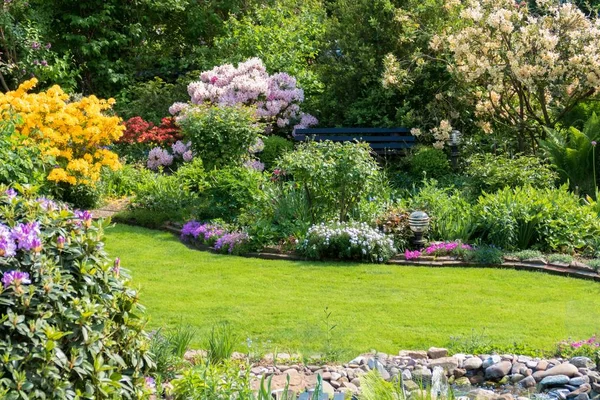 Beautiful Blooming Garden Summer — Stock Photo, Image