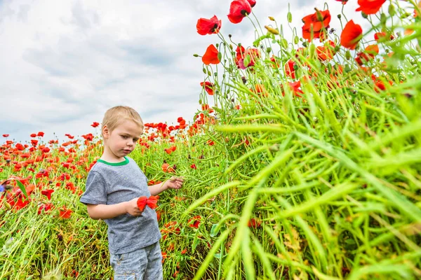 Kleine Süße Junge Feld Mit Roter Mohn Und Blauer Himmel — Stockfoto