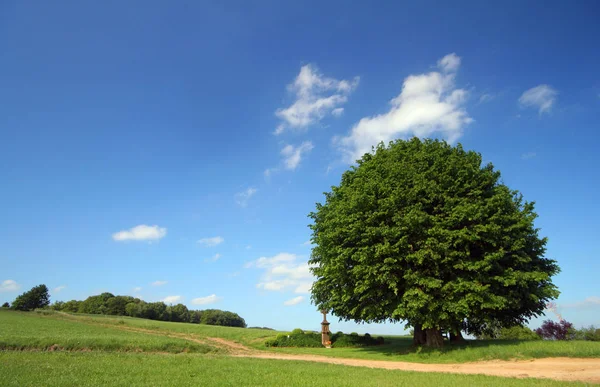 Vue Pittoresque Nature Scène — Photo