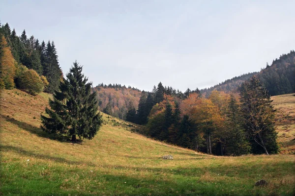 Bernau Floresta Negra Sul — Fotografia de Stock