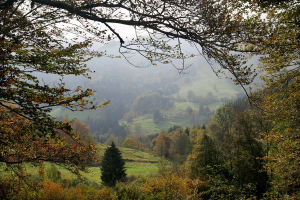 Bernau Południowym Czarnym Lesie — Zdjęcie stockowe