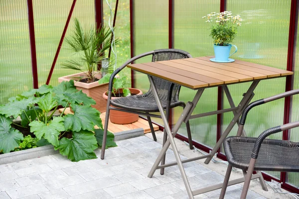 Vegetable Growing Greenhouse Garden — Stock Photo, Image