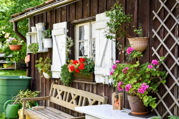 Garden Hut Flowers Summer — Stock Photo, Image