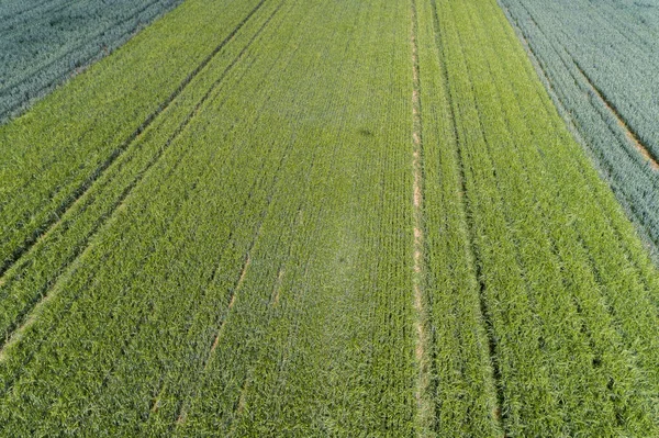 Aerial View Meadows Fields Spring — Stock Photo, Image