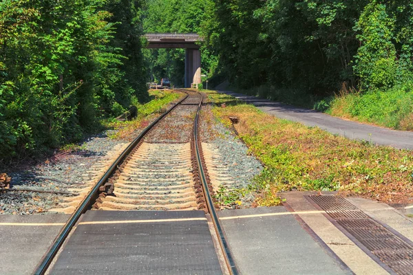 Oude Spoorweg Kronkelend Door Een Bos — Stockfoto