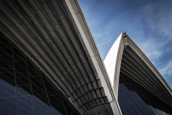 Detalle Arquitectura Exterior Del Famoso Monumento Ópera Sydney Australia Durante —  Fotos de Stock