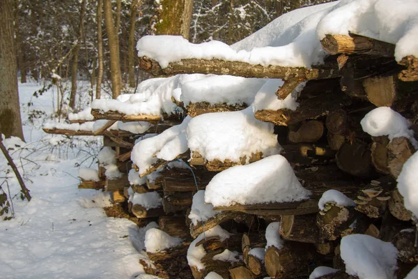 Fourrage Bois Couvert Neige Dans Forêt Jour Hiver — Photo