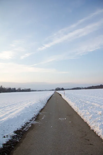 Asphaled Road Rural Snowy Landscape Day Winter — Stock Photo, Image