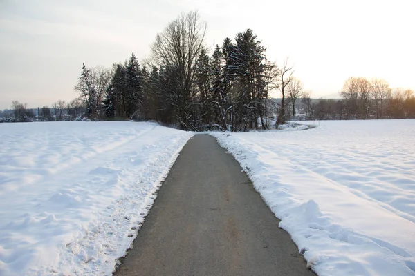 Route Asphalée Dans Paysage Rural Enneigé Jour Hiver — Photo