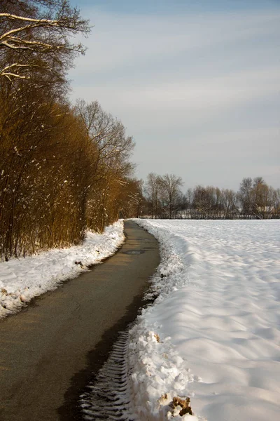 Asphaled Road Rural Snowy Landscape Day Winter — Stock Photo, Image