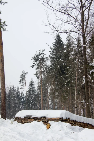 Σωρός Από Ξύλο Χιόνι Δάσος Χειμώνα Την Ημέρα — Φωτογραφία Αρχείου