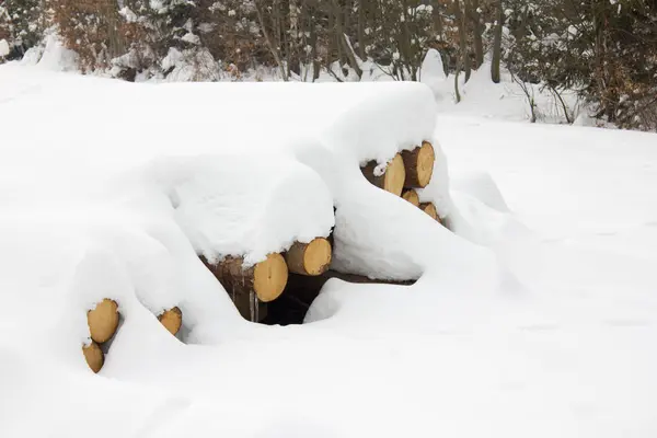 Hög Med Trä Med Snö Skog Vintern Dagen — Stockfoto