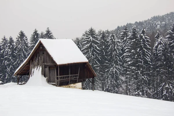 Vieja Cabaña Madera Paisaje Cubierto Nieve Invierno Día —  Fotos de Stock