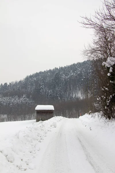 Les Zimě Sníh Pokryt — Stock fotografie