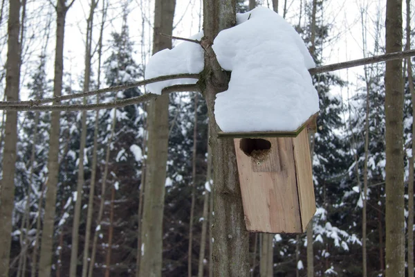 Casas Enfeitadas Com Neve Uma Árvore Uma Floresta Inverno — Fotografia de Stock
