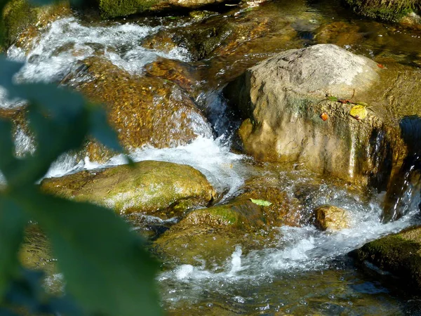 Водопад Речной Поток Окружающая Среда — стоковое фото