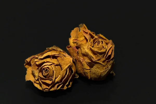 Rooskleurige Bloemen Opgedroogd — Stockfoto