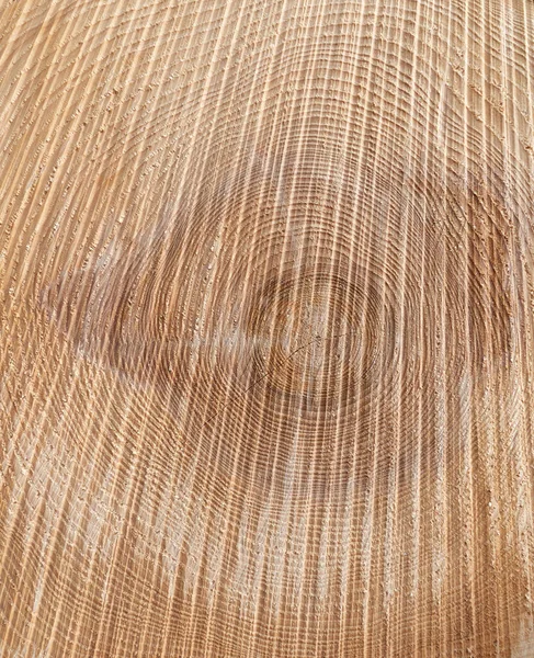 Detalhe Textura Tronco Árvore Serrada Com Anéis Anuais — Fotografia de Stock