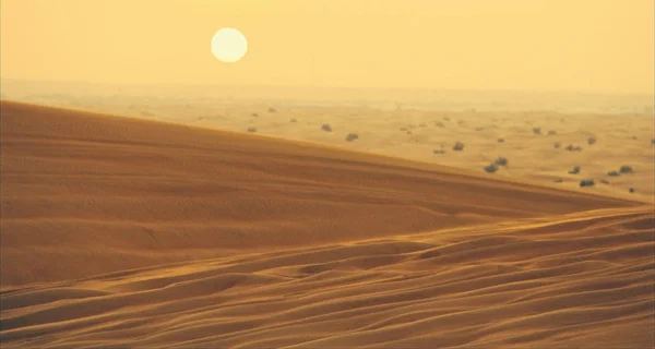 Вечер Пустыне — стоковое фото