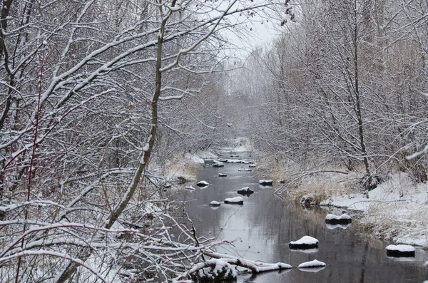 Winter Creek Depois Uma Queda Neve Fresca — Fotografia de Stock